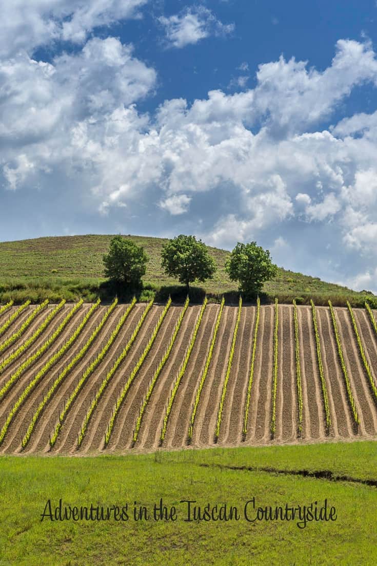 Adventures In the Tuscan Countryside
