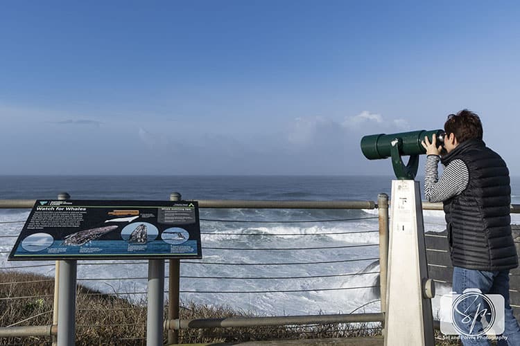 Andi looking for whales at Yaquina Lighthouse_Oregon-Coast-hero
