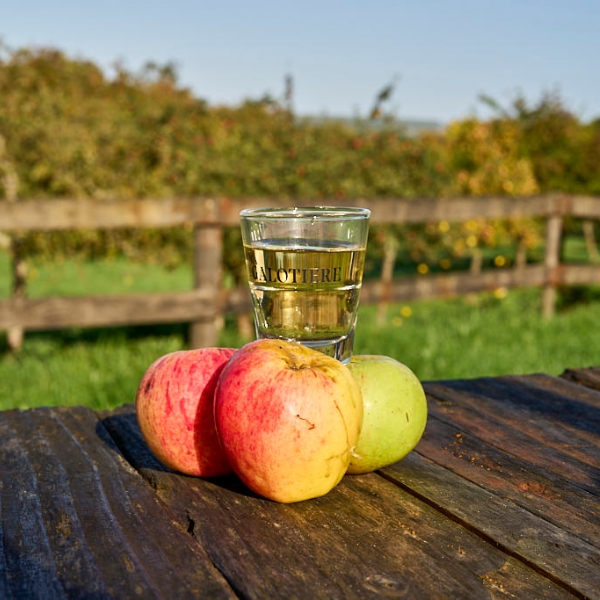Calvados Apple Brandy and apples