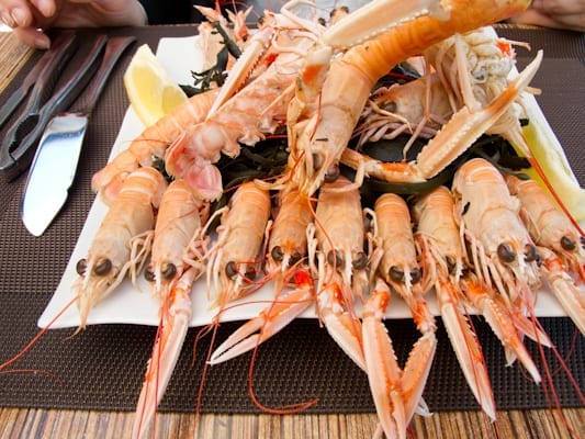 langoustine-lazimut