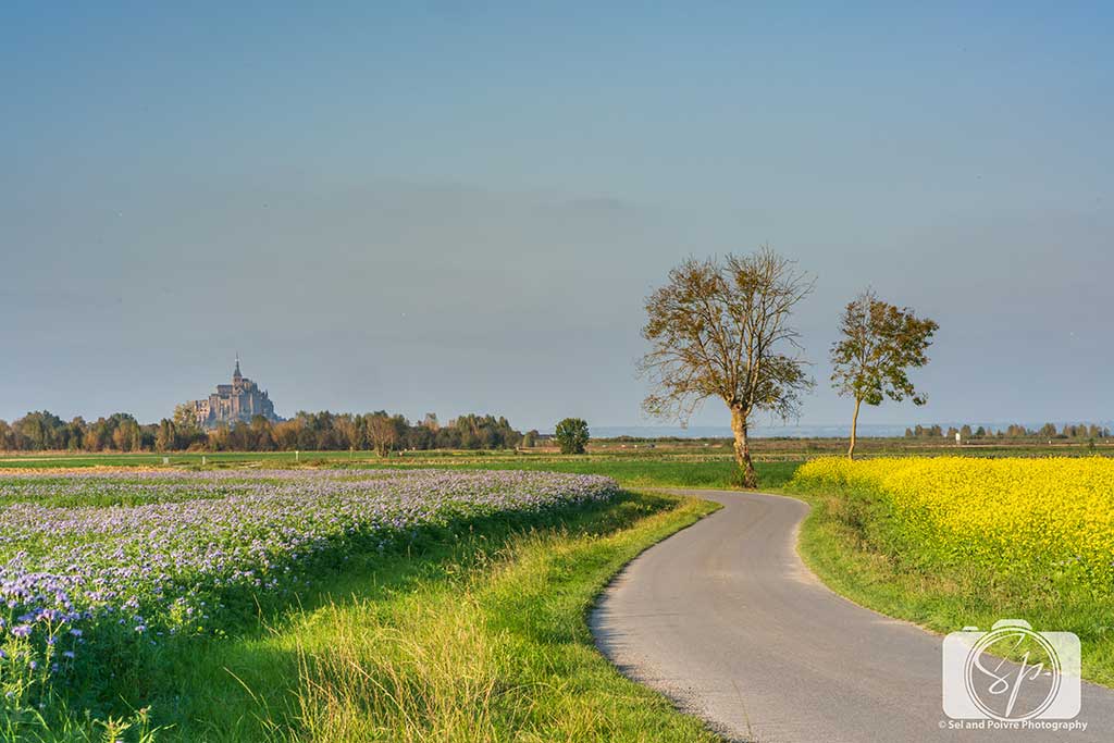 Mont St Michel from Beauvoir France Mont St Michel from Beauvoir France
