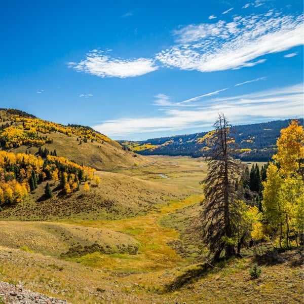 New Mexico Mountains