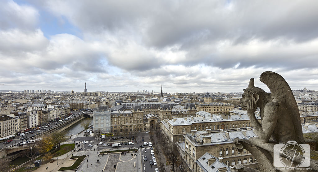 Paris Cityscape from Notre Dame