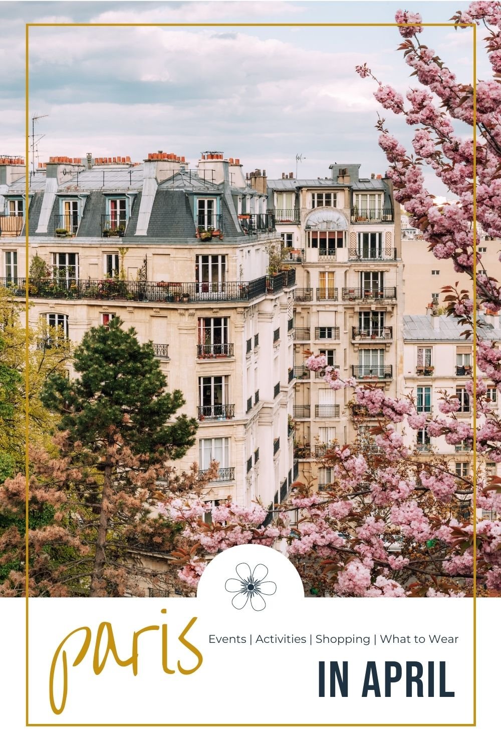 Paris in April cherry blossoms in montmartre