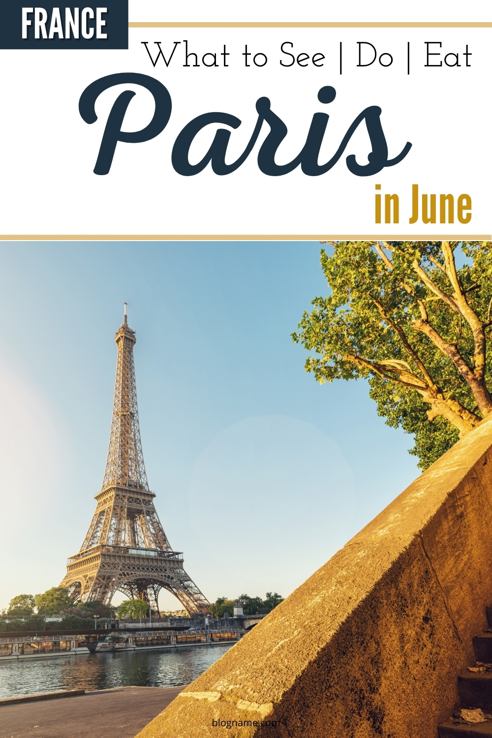 Paris in June the Eiffel Tower from the Seine