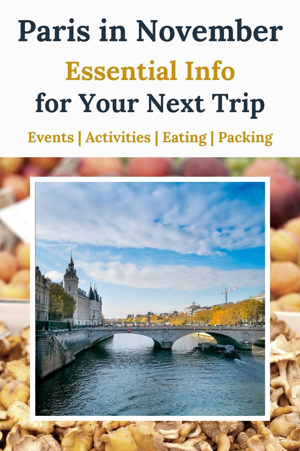 Paris in November bridge in Paris