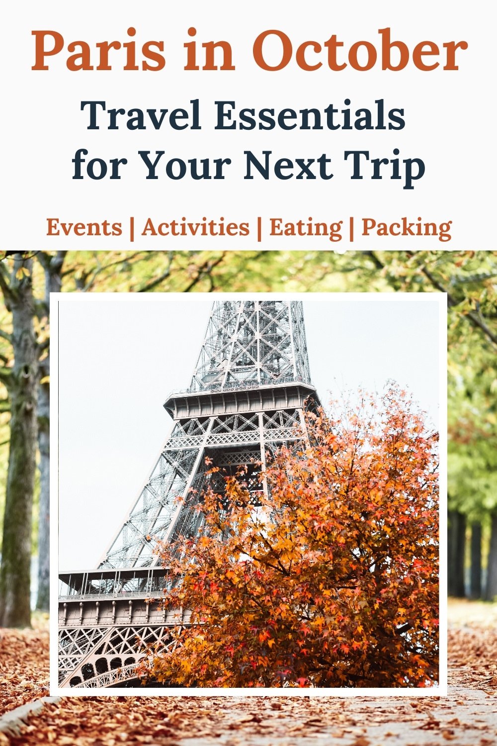 Paris in October Paris fall leaves