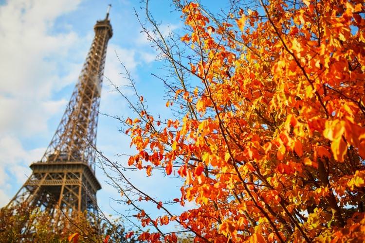 fall leaves and eiffel tower