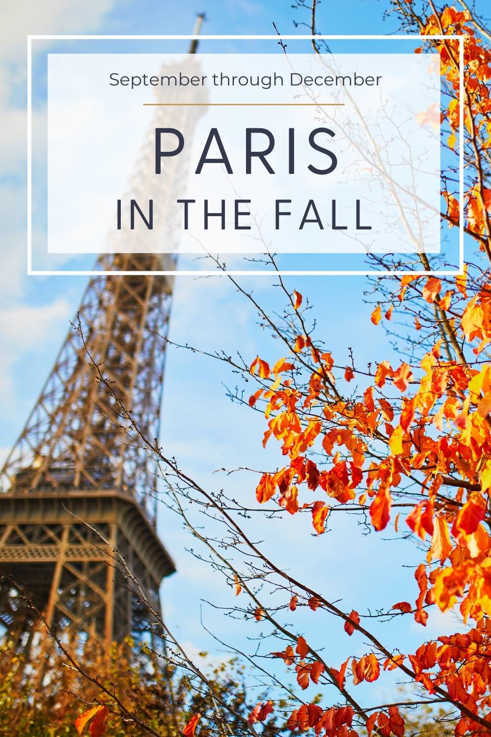 Paris in the Fall fall leaves and eiffel tower