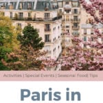 cherry blossoms near a building in spring in Paris