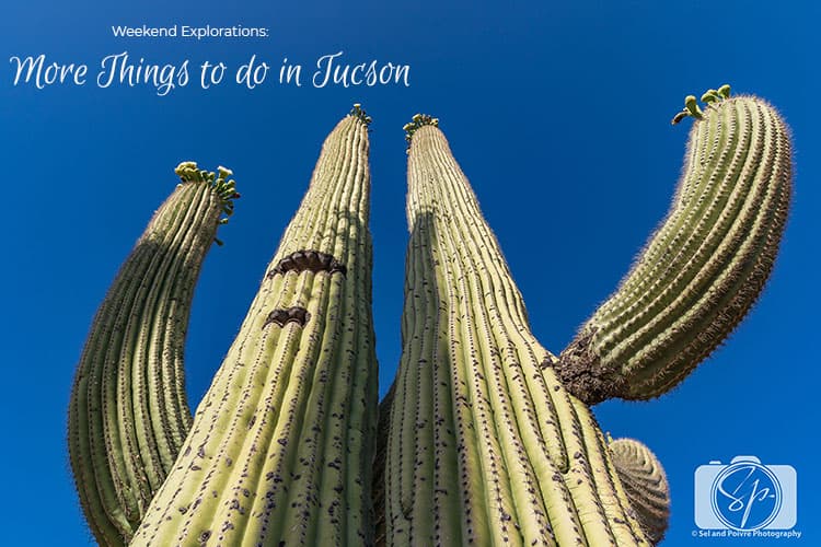 Weekend Explorations: More Things to do in Tucson