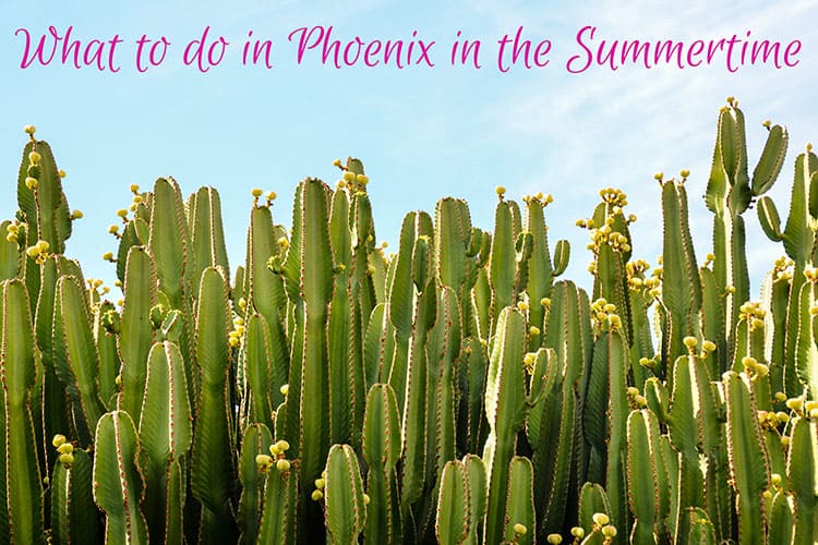 What to do in Phoenix in the Summertime